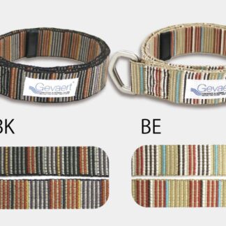 ゲバルトマルチスト